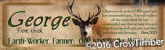 Horizontal Personalized Bookmark, Stag in the Field