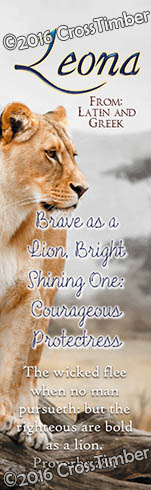 BM-AN08, Name Meaning Bookmark, Personalized with Bible Verse or Famous Quote,, leona, lion, africa.