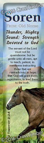 BM-AN49, Name Meaning Bookmark, Personalized with Bible Verse or Famous Quote, soren brown horse house