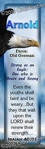 BM-AN20, Name Meaning Bookmark, Personalized with Bible Verse or Famous Quote, Arnold bald eagle fly