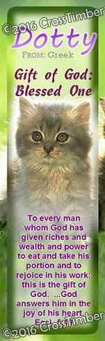 BM-AN50, Name Meaning Bookmark, Personalized with Bible Verse or Famous Quote, morgan cute fuzzy kittens cats