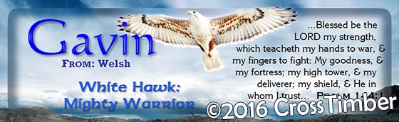 Horizontal Personalized Bookmark, White Hawk
